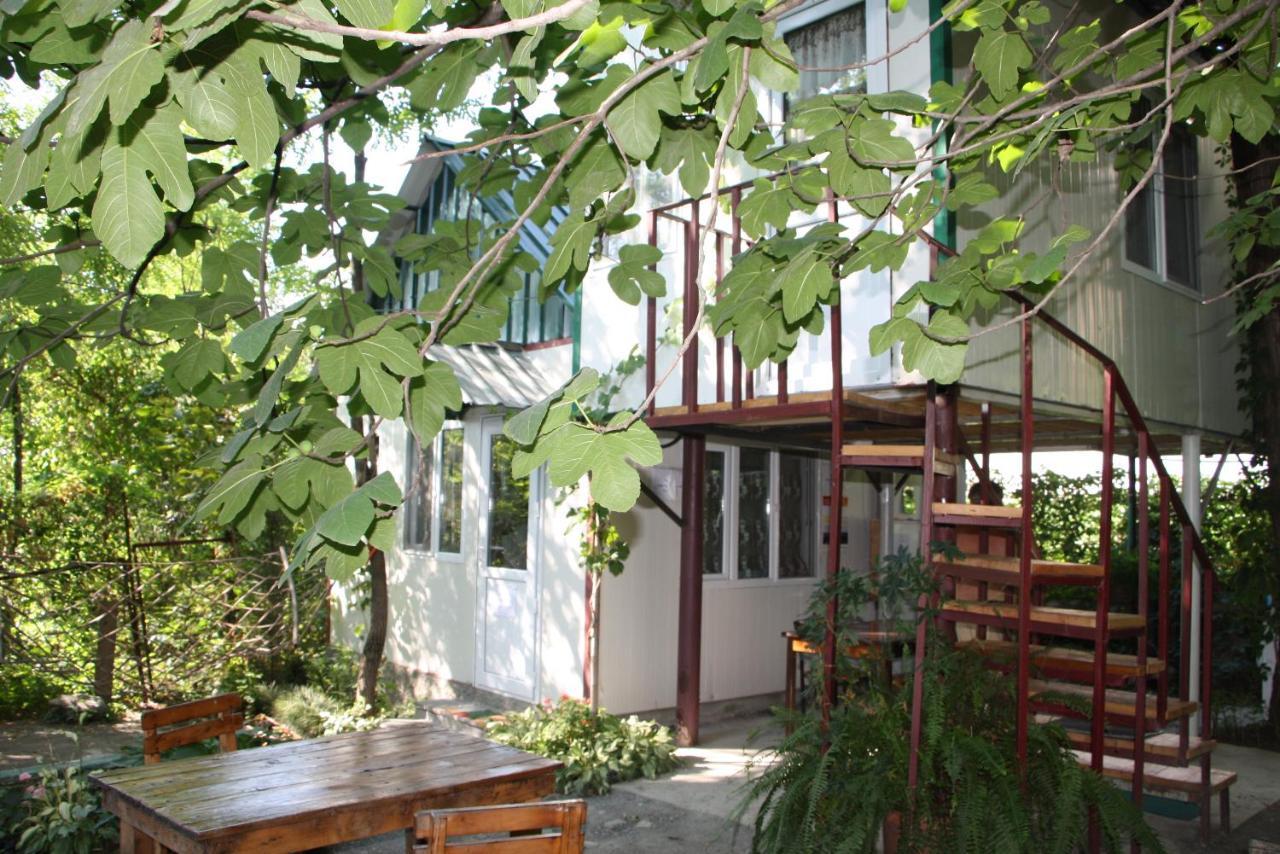 Villa Robinson Crusoe Lagodekhi Esterno foto