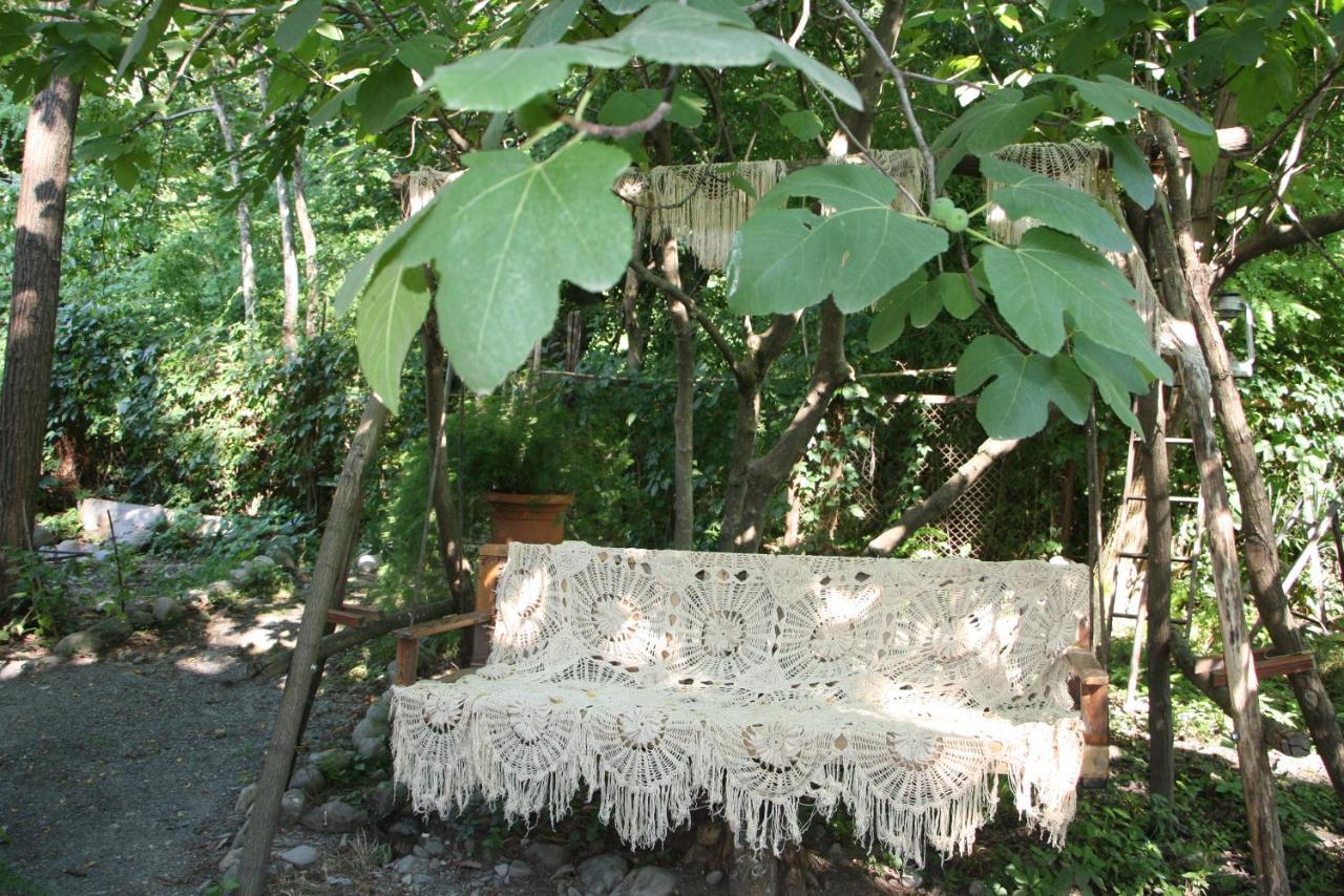 Villa Robinson Crusoe Lagodekhi Esterno foto