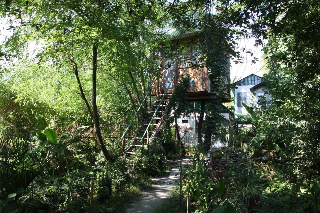 Villa Robinson Crusoe Lagodekhi Esterno foto
