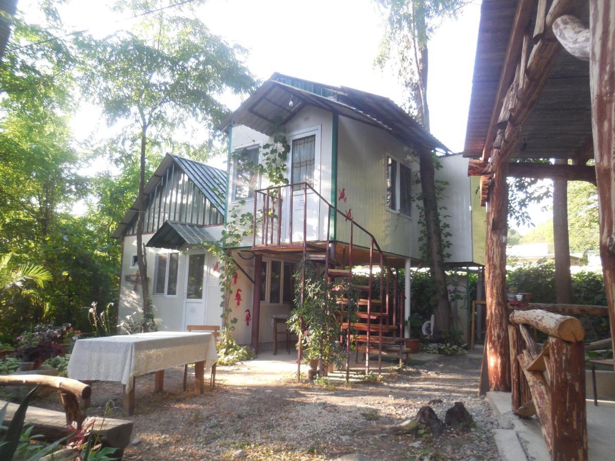 Villa Robinson Crusoe Lagodekhi Esterno foto