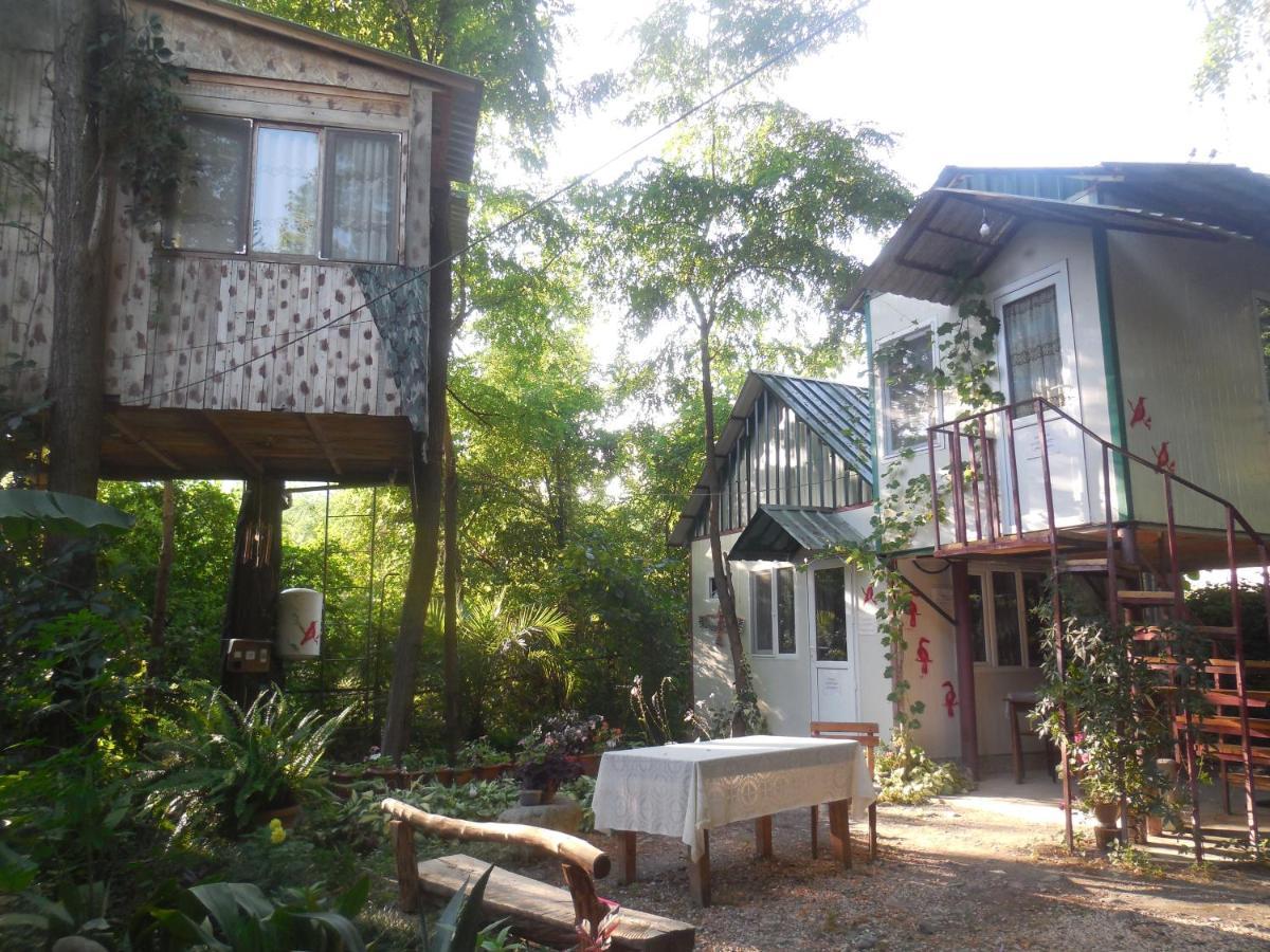 Villa Robinson Crusoe Lagodekhi Esterno foto