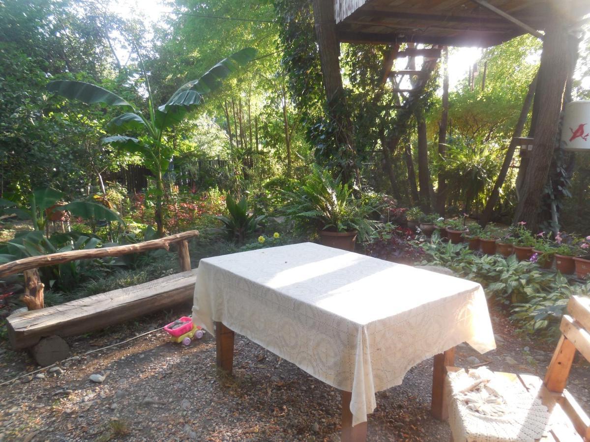 Villa Robinson Crusoe Lagodekhi Esterno foto
