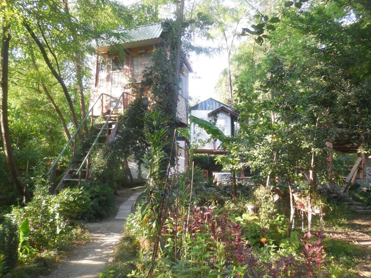 Villa Robinson Crusoe Lagodekhi Esterno foto