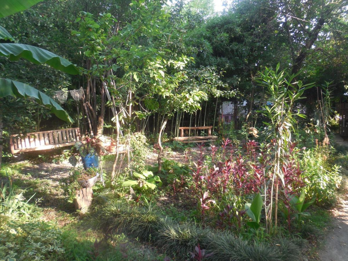 Villa Robinson Crusoe Lagodekhi Esterno foto