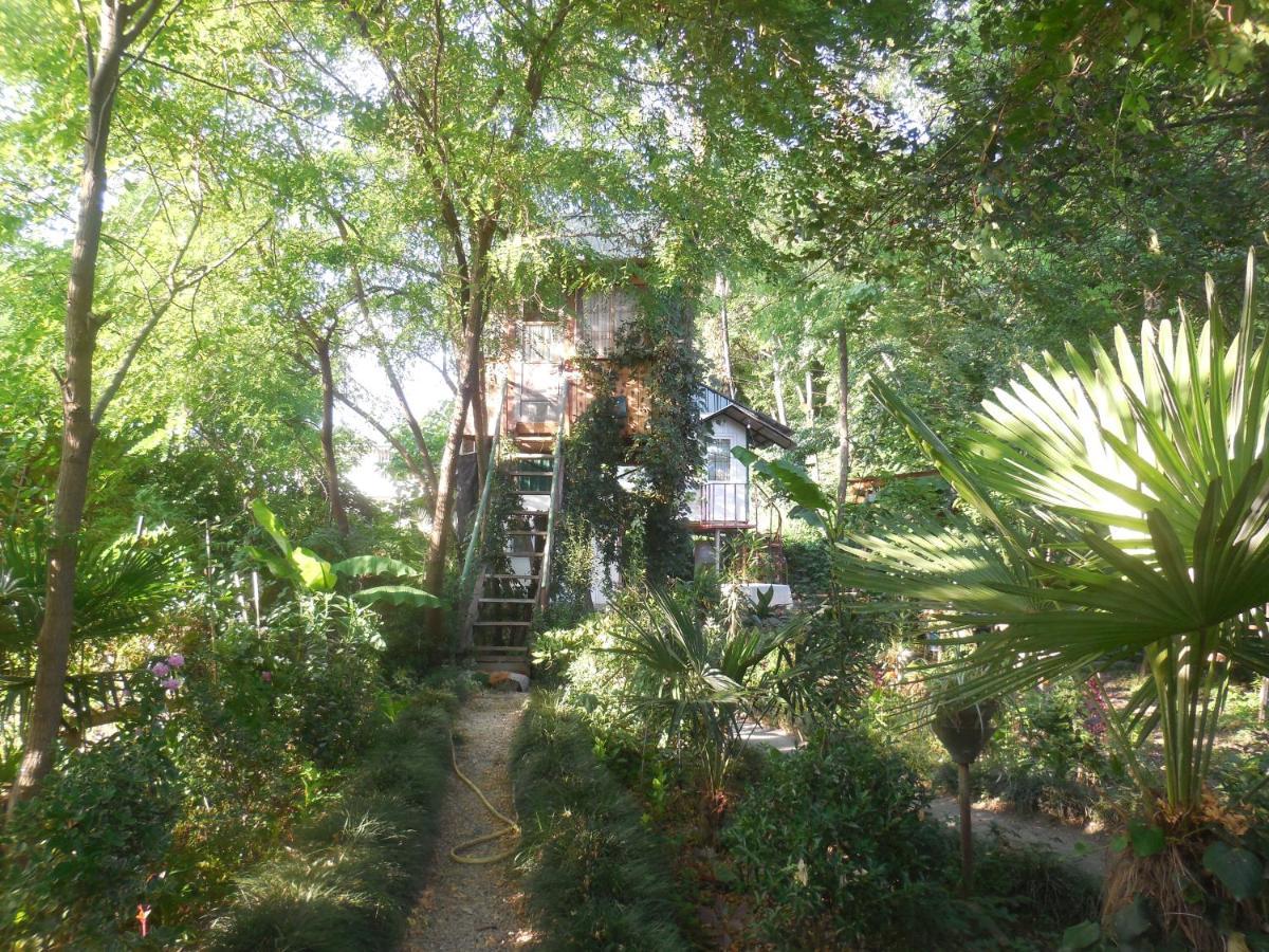 Villa Robinson Crusoe Lagodekhi Esterno foto