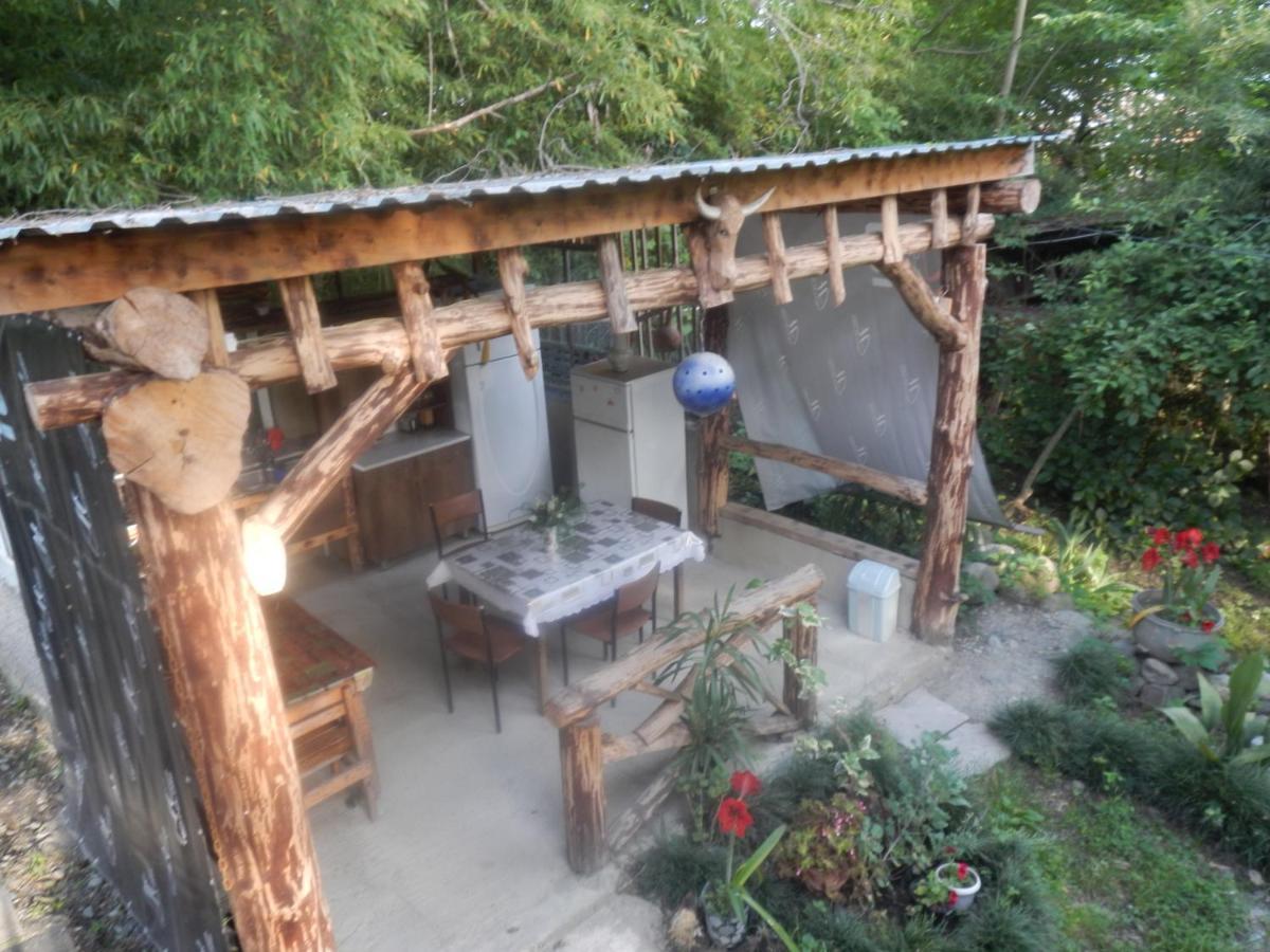 Villa Robinson Crusoe Lagodekhi Esterno foto