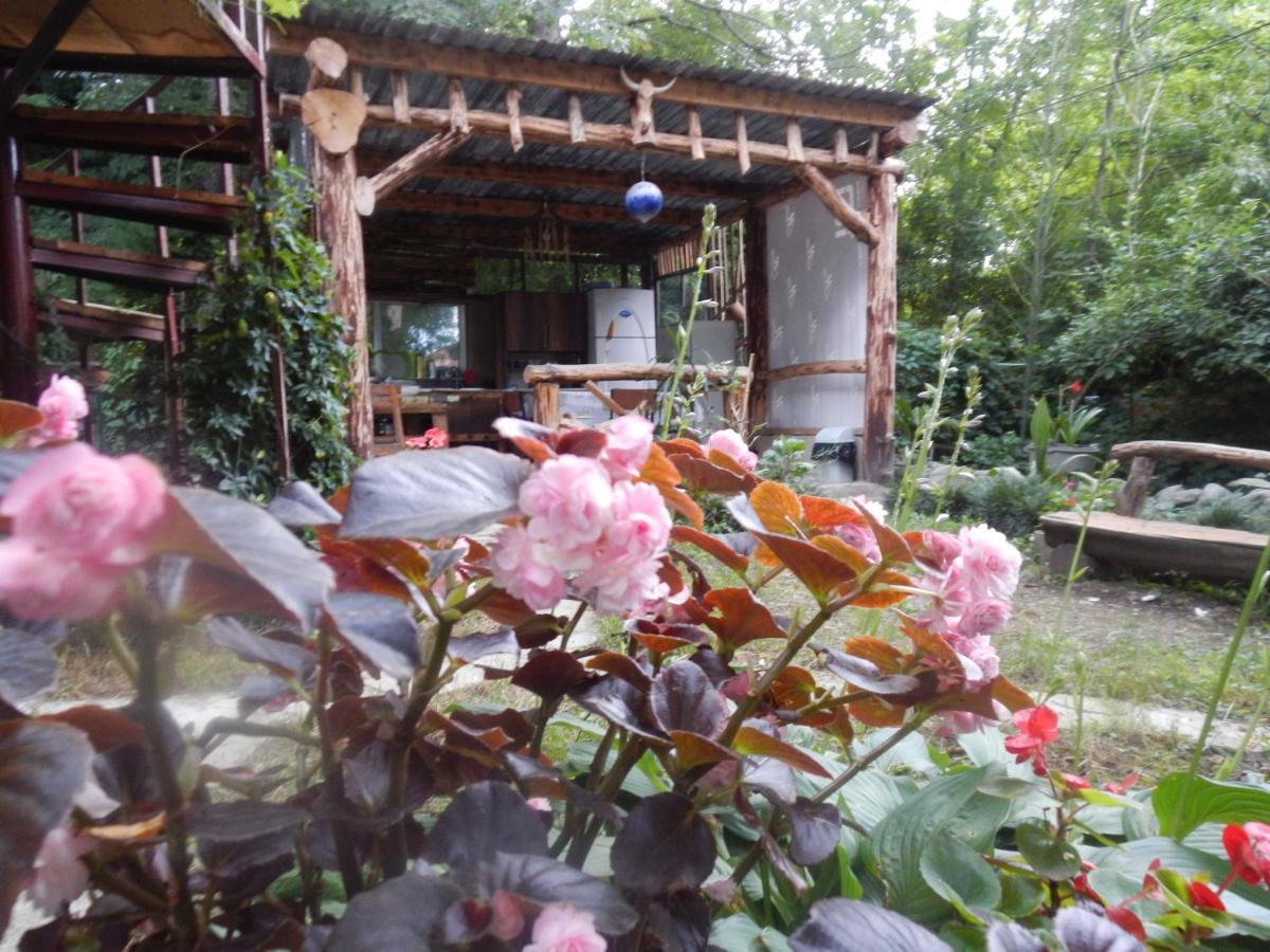 Villa Robinson Crusoe Lagodekhi Esterno foto