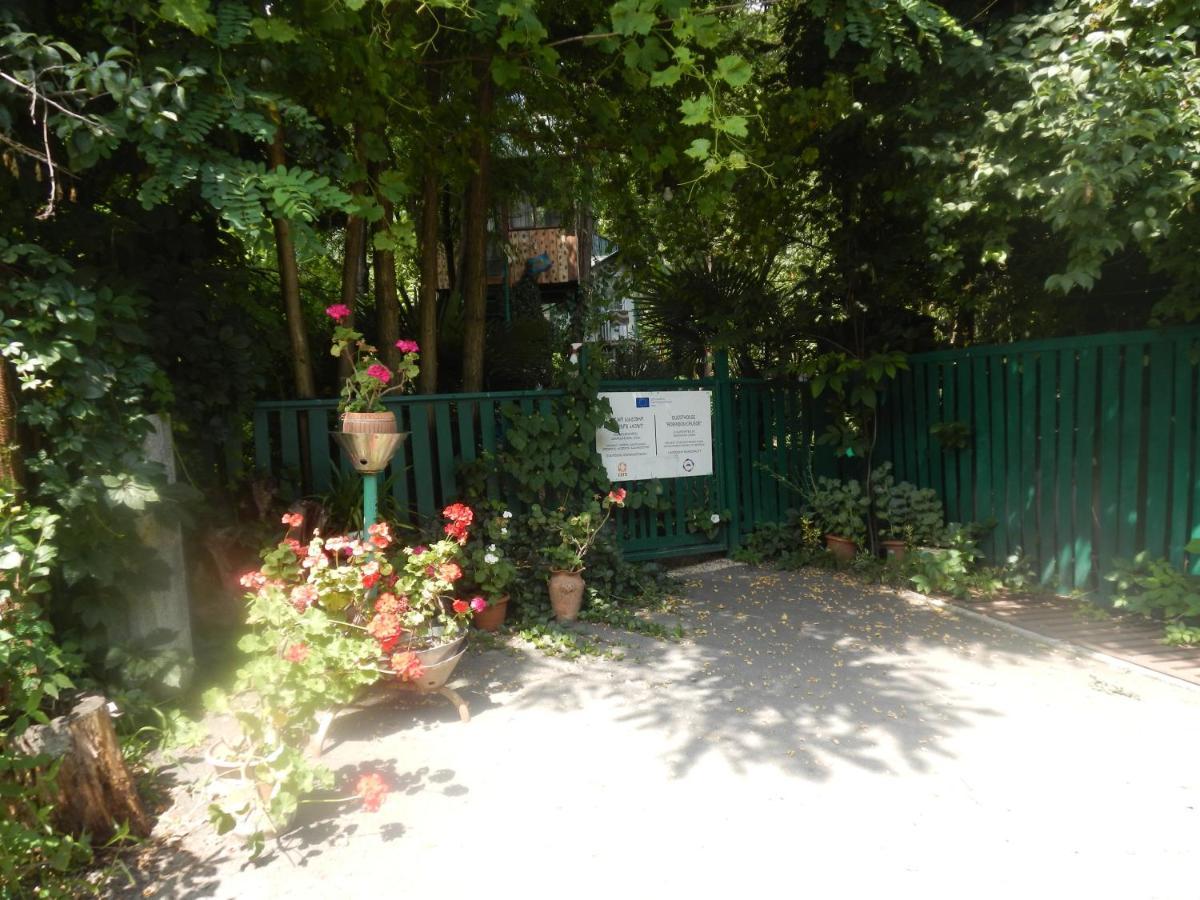 Villa Robinson Crusoe Lagodekhi Esterno foto
