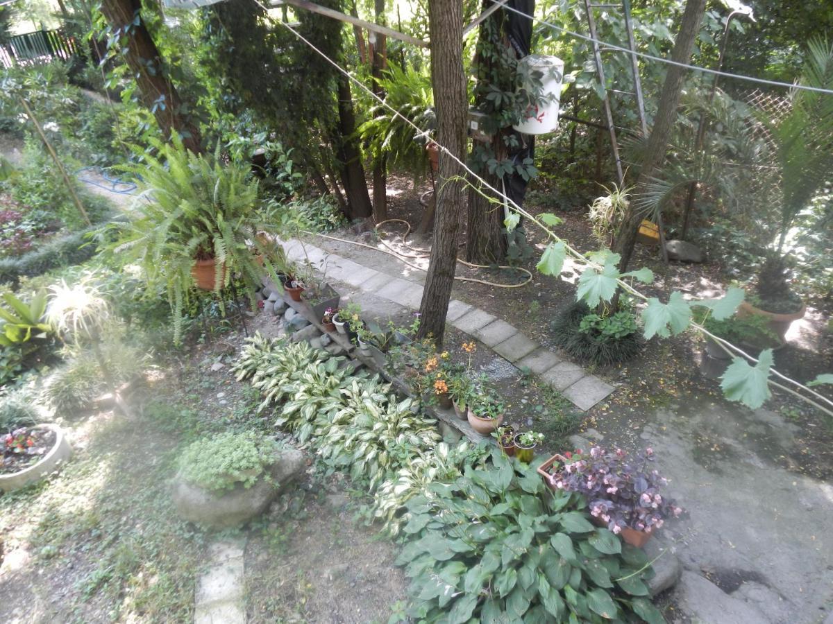 Villa Robinson Crusoe Lagodekhi Esterno foto