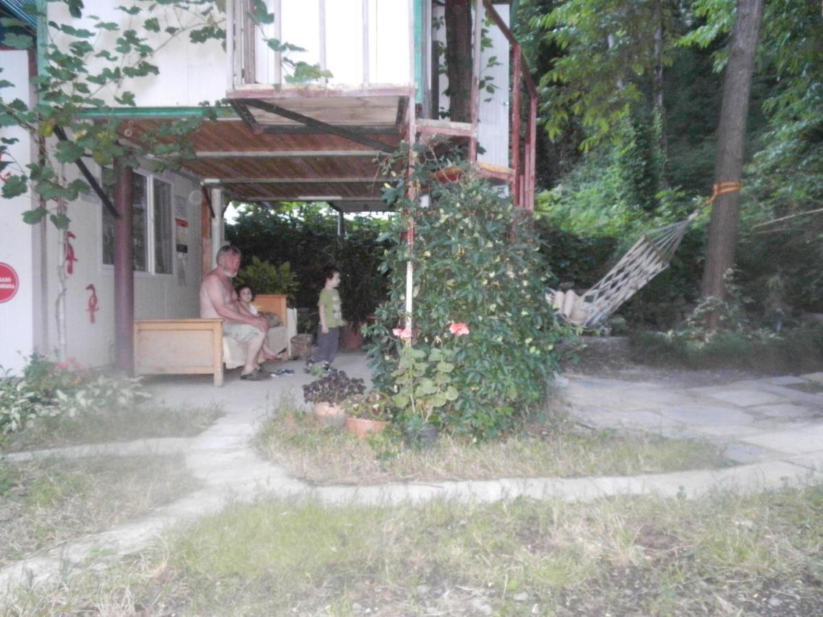 Villa Robinson Crusoe Lagodekhi Esterno foto