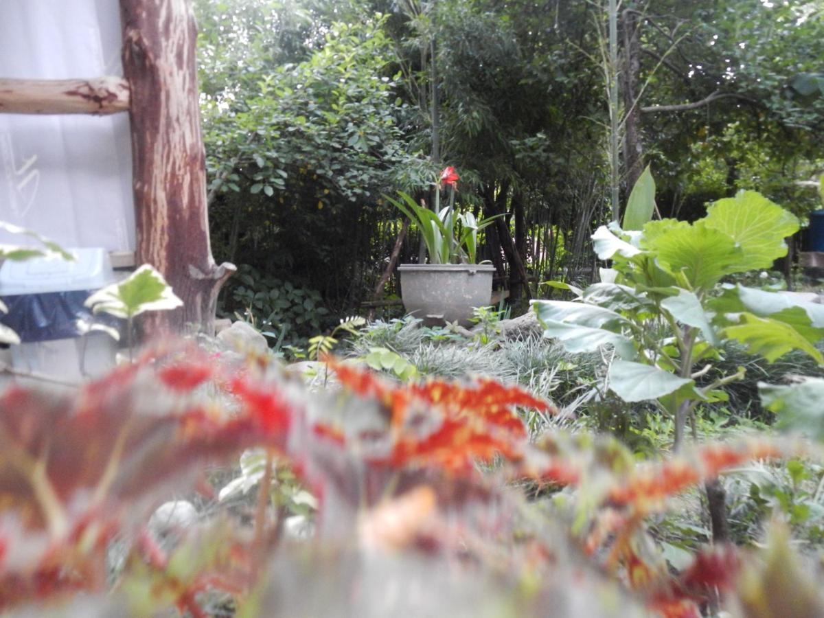 Villa Robinson Crusoe Lagodekhi Esterno foto