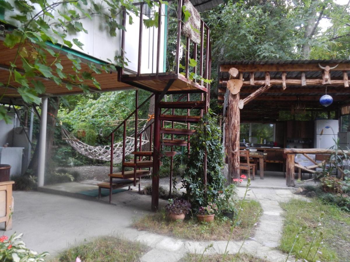 Villa Robinson Crusoe Lagodekhi Esterno foto