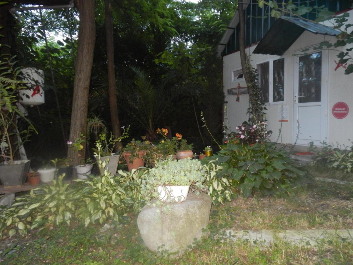 Villa Robinson Crusoe Lagodekhi Esterno foto
