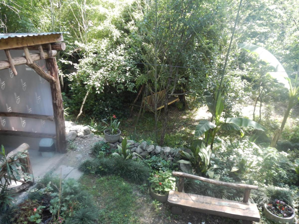 Villa Robinson Crusoe Lagodekhi Esterno foto