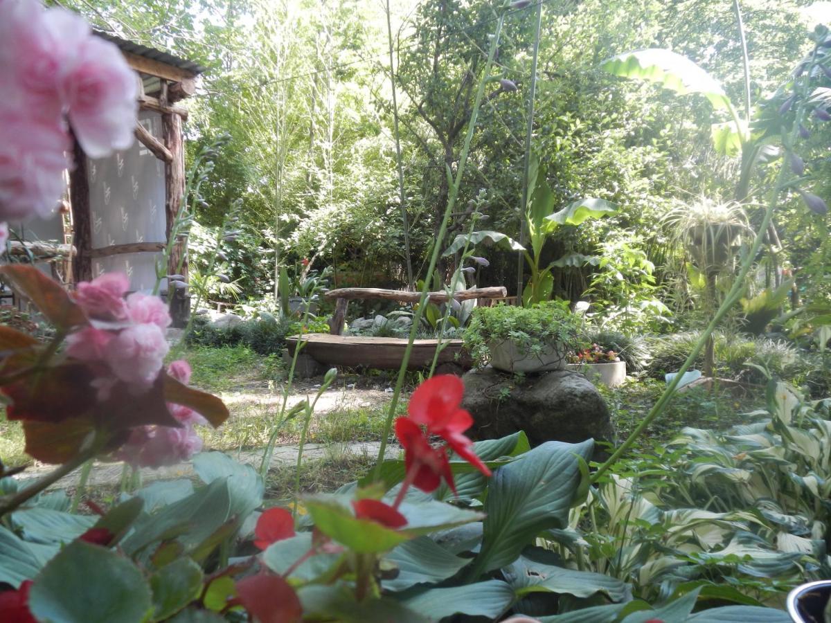 Villa Robinson Crusoe Lagodekhi Esterno foto