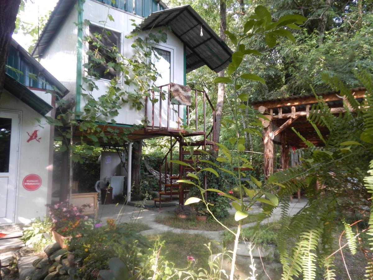 Villa Robinson Crusoe Lagodekhi Esterno foto