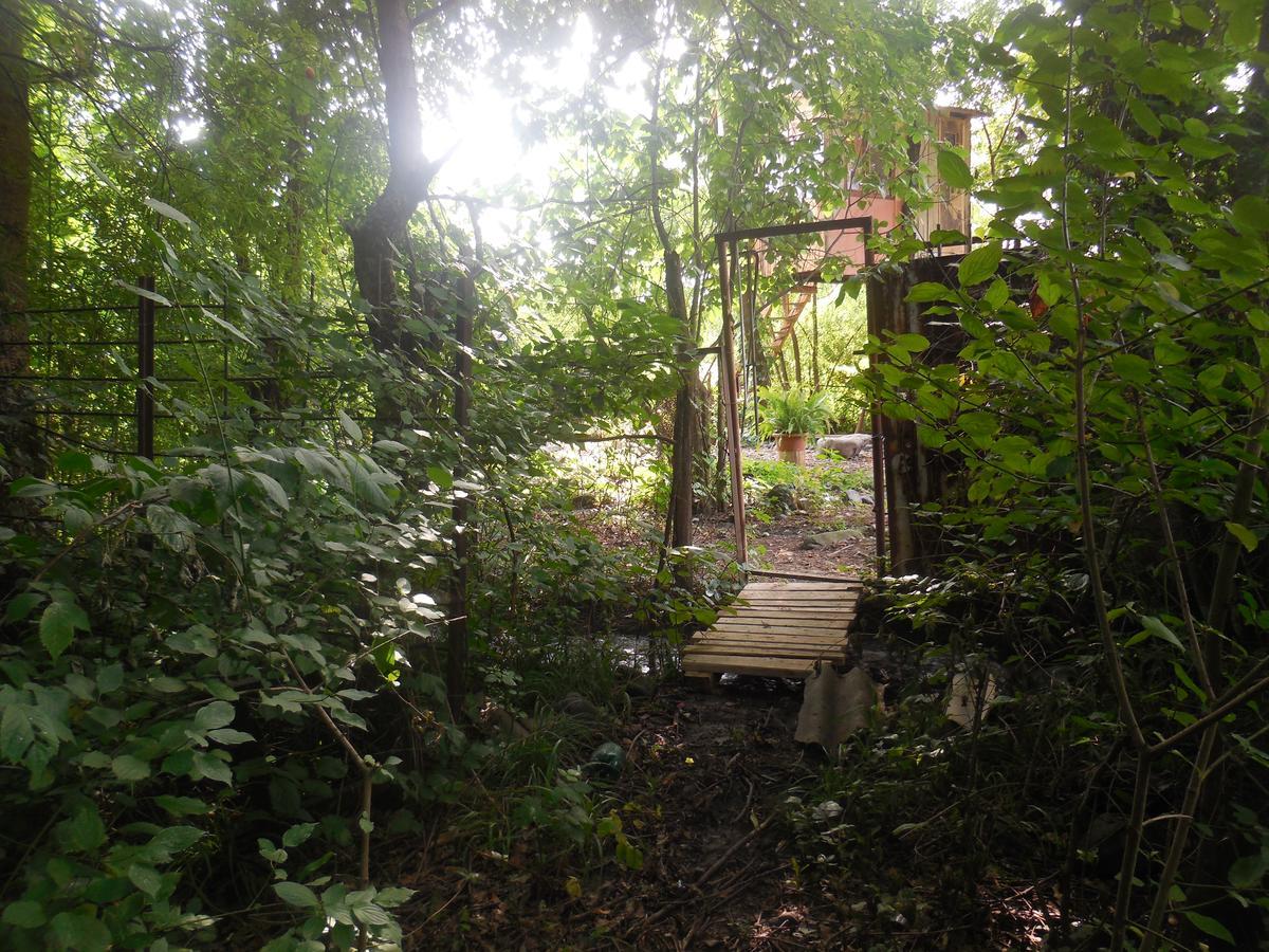 Villa Robinson Crusoe Lagodekhi Esterno foto