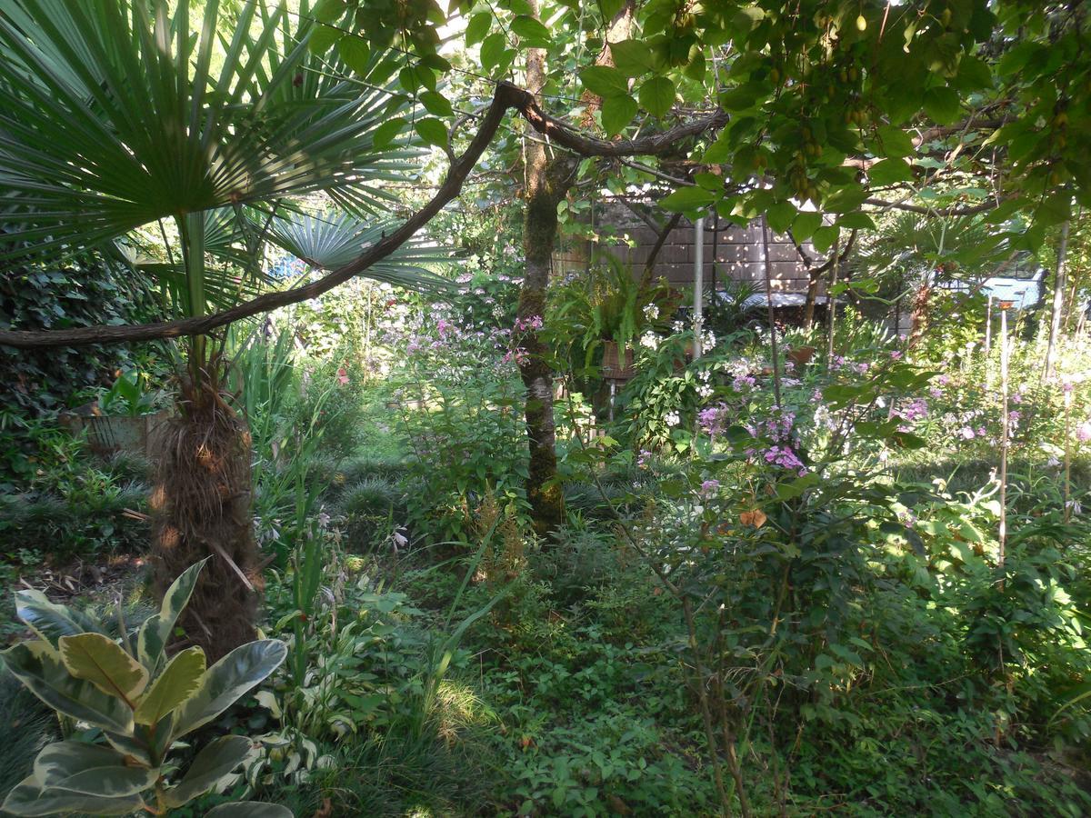 Villa Robinson Crusoe Lagodekhi Esterno foto