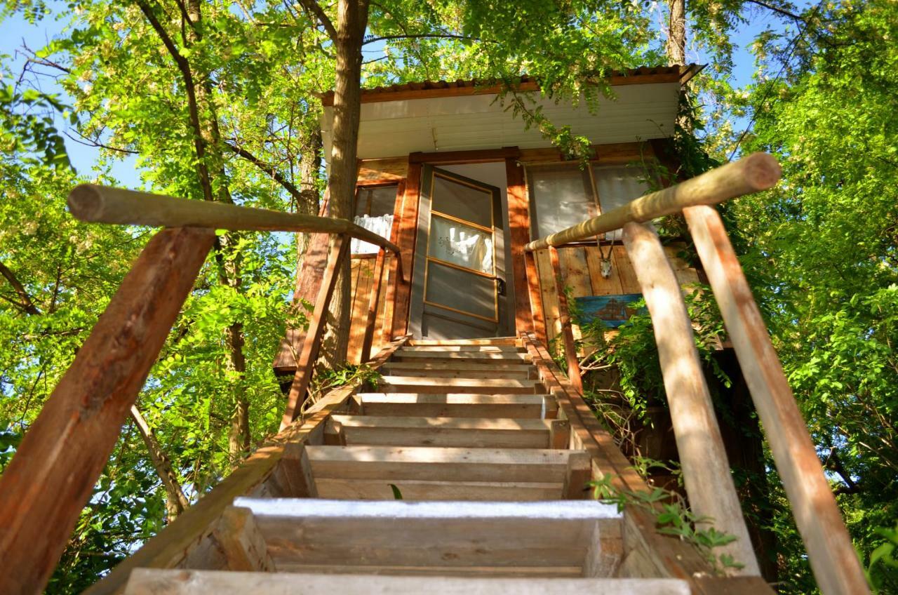 Villa Robinson Crusoe Lagodekhi Esterno foto