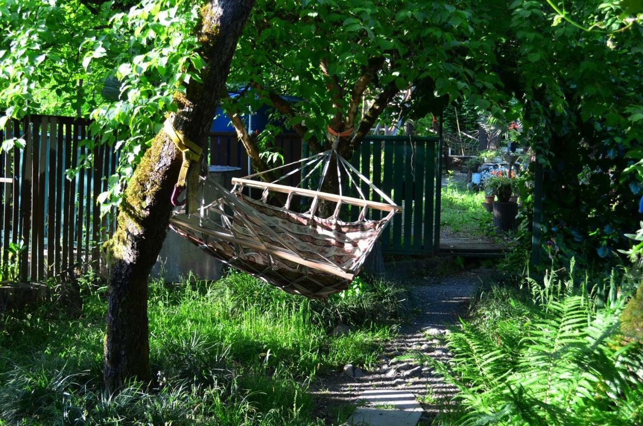 Villa Robinson Crusoe Lagodekhi Esterno foto