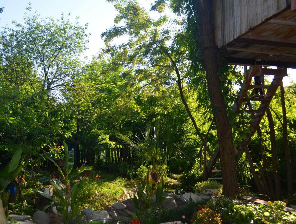 Villa Robinson Crusoe Lagodekhi Esterno foto