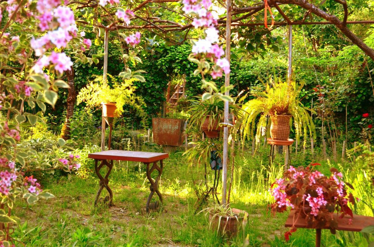 Villa Robinson Crusoe Lagodekhi Esterno foto