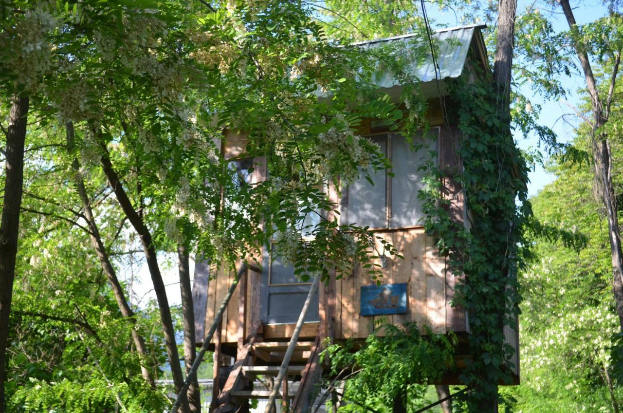 Villa Robinson Crusoe Lagodekhi Esterno foto