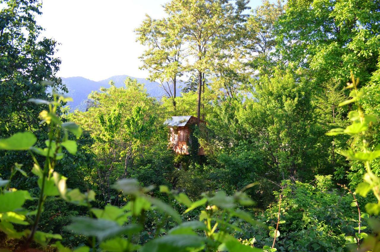 Villa Robinson Crusoe Lagodekhi Esterno foto